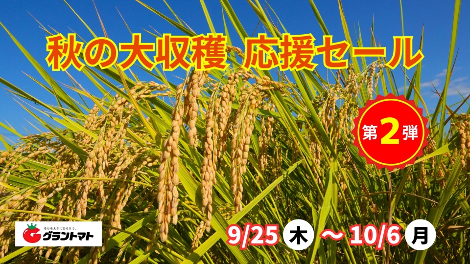 白米10キロ　　9月に刈り取り 白米10キロ 9月に刈り取り 白米10キロ9月に刈り取り