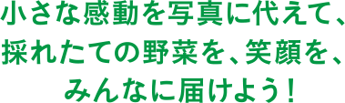 小さな感動をあ写真に代えて、採れたての野菜を、笑顔を、みんなに届けよう！